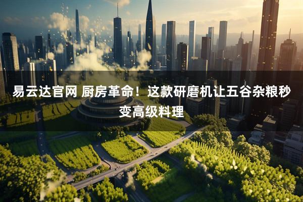 易云达官网 厨房革命！这款研磨机让五谷杂粮秒变高级料理