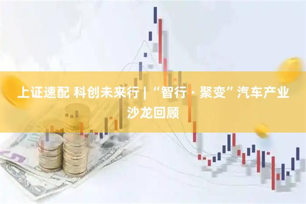 上证速配 科创未来行 | “智行 · 聚变”汽车产业沙龙回顾