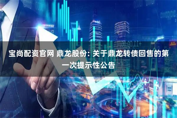 宝尚配资官网 鼎龙股份: 关于鼎龙转债回售的第一次提示性公告