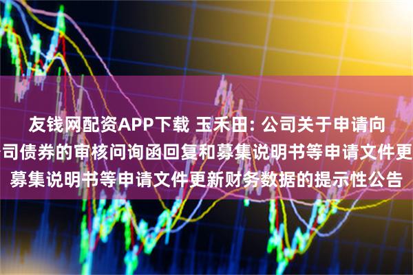 友钱网配资APP下载 玉禾田: 公司关于申请向不特定对象发行可转换公司债券的审核问询函回复和募集说明书等申请文件更新财务数据的提示性公告