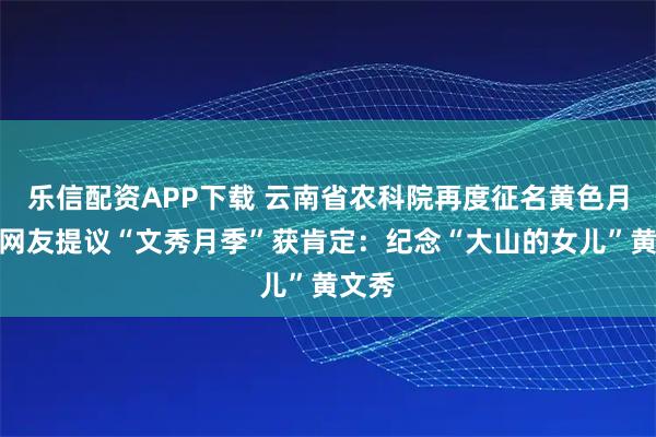 乐信配资APP下载 云南省农科院再度征名黄色月季，网友提议“文秀月季”获肯定：纪念“大山的女儿”黄文秀