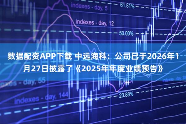 数据配资APP下载 中远海科：公司已于2026年1月27日披露了《2025年年度业绩预告》