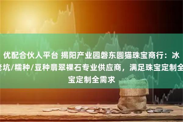 优配合伙人平台 揭阳产业园磐东圆猫珠宝商行：冰种/老坑/糯种/豆种翡翠裸石专业供应商，满足珠宝定制全需求